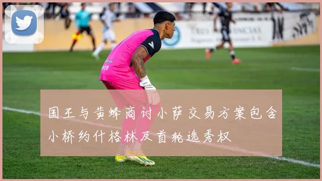 国王与黄蜂商讨小萨交易方案包含小桥约什格林及首轮选秀权